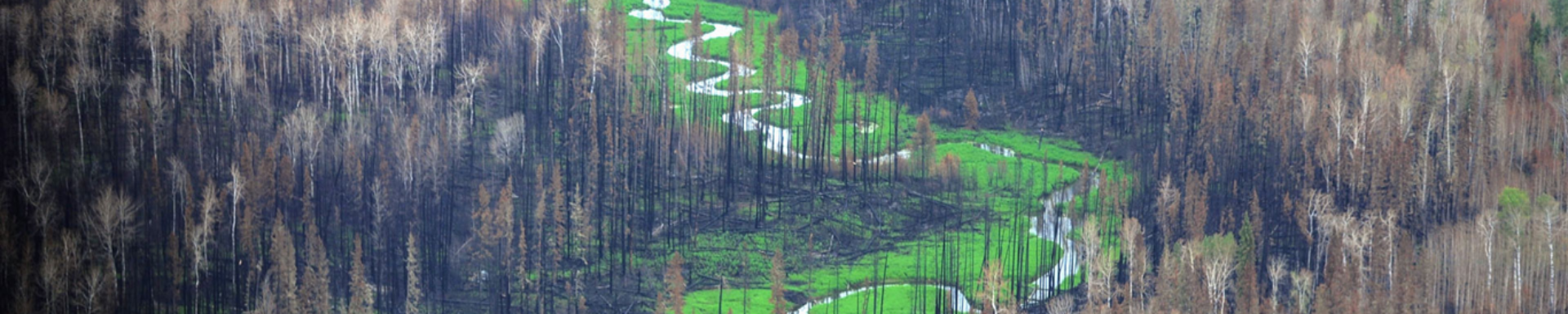 Alberta Fire Bans | MunroPowersports.com | Munro Industries mp-100801040105