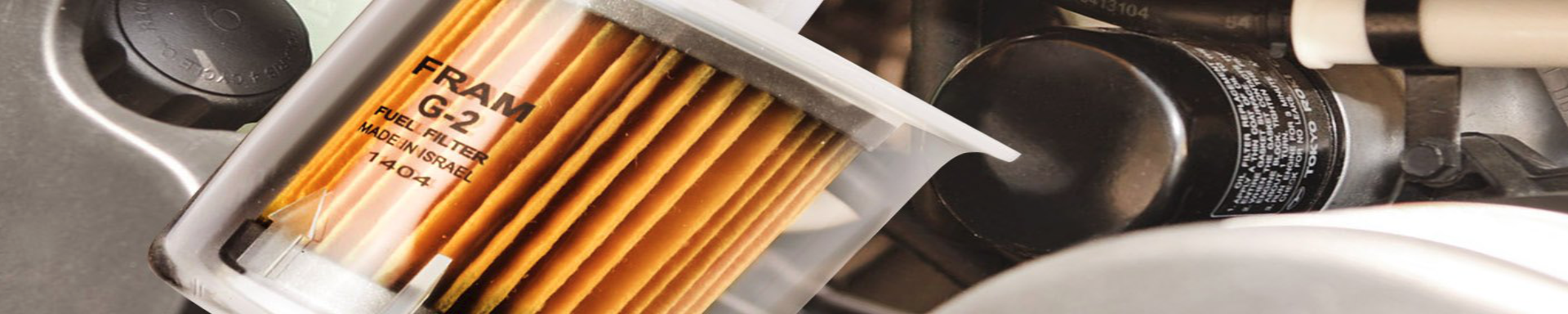 Fuel Filters | MunroPowersports.com | Munro Industries mp-100803081107