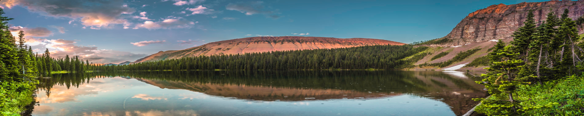 General Information |MunroPowersports.com | Munro Industries mp-1008010401