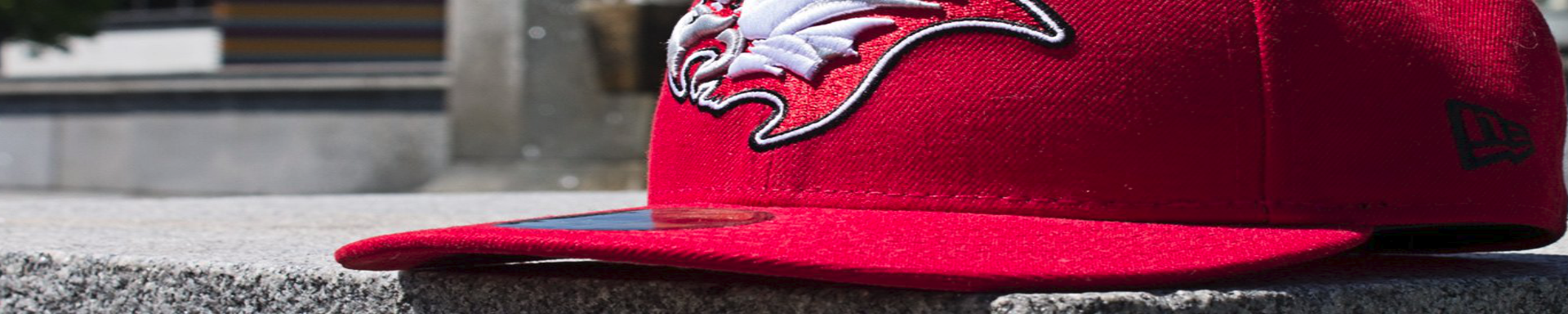 Hats & Caps | MunroPowersports.com | Munro Industries mp-1008030203