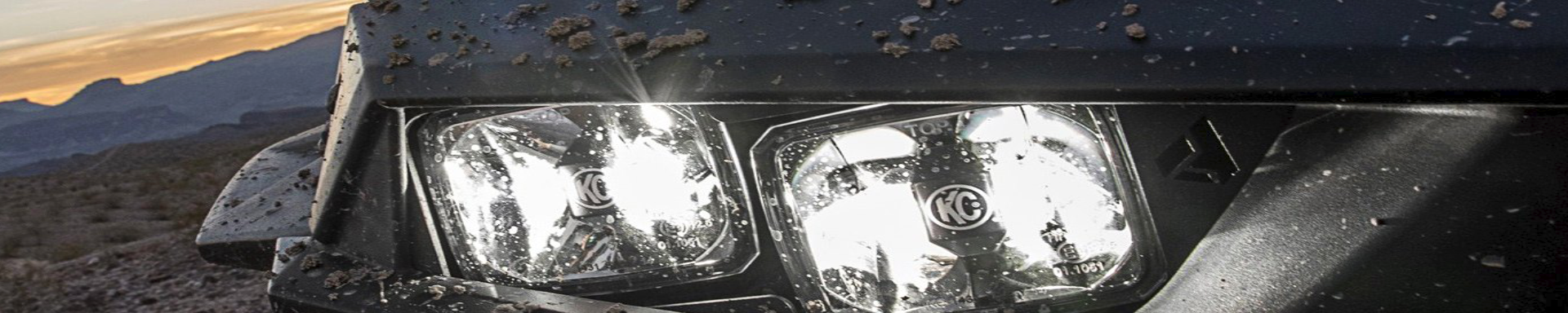 Headlights | MunroPowersports.com | Munro Industries mp-1008030604