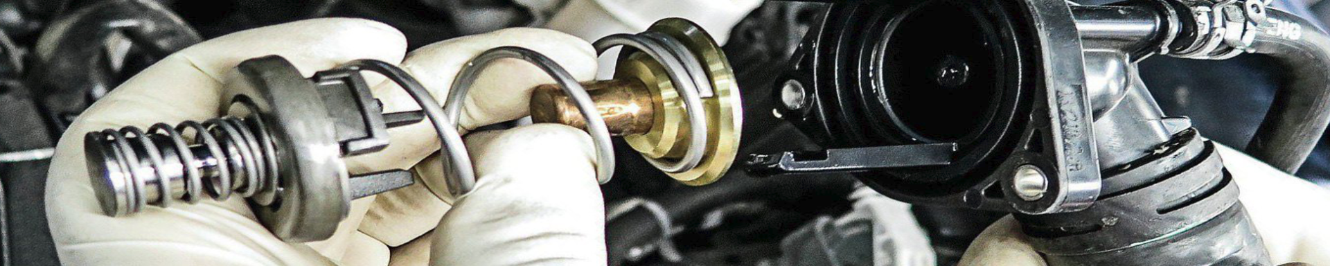 Thermostats & Housings | MunroPowersports.com | Munro Industries mp-100803080414