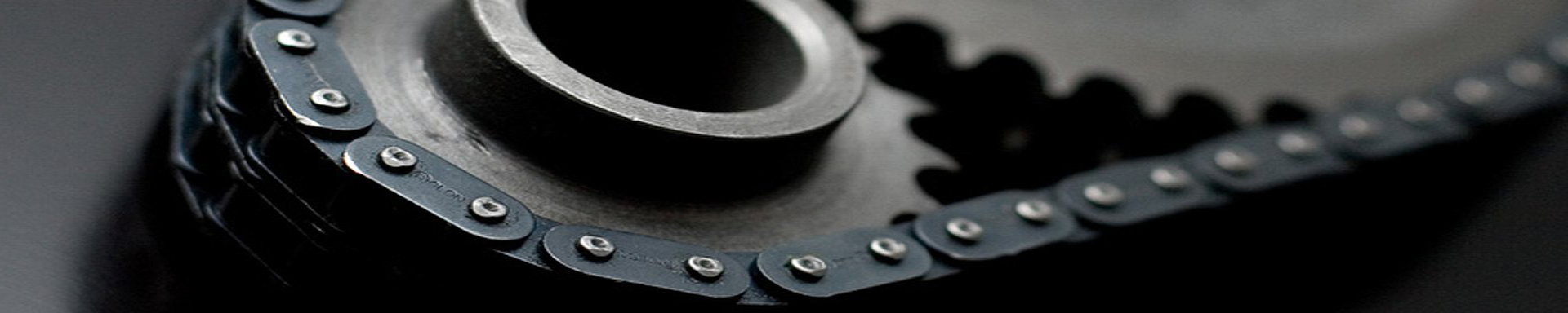 Timing Gears & Chains | MunroPowersports.com | Munro Industries mp-100803080721