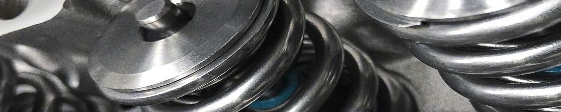 Valves & Valve Train Parts | MunroPowersports.com | Munro Industries mp-100803080724