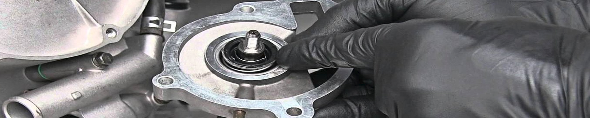 Water Pumps | MunroPowersports.com | Munro Industries mp-100803080415