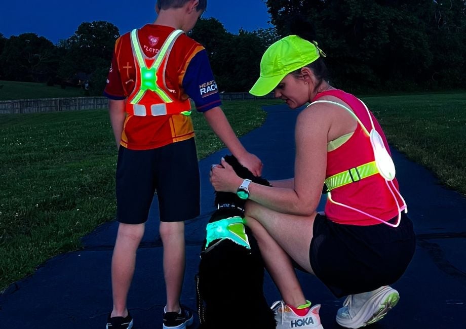 Noxgear Tracer Junior âIlluminated & Reflective Vest | MunroKennels.com