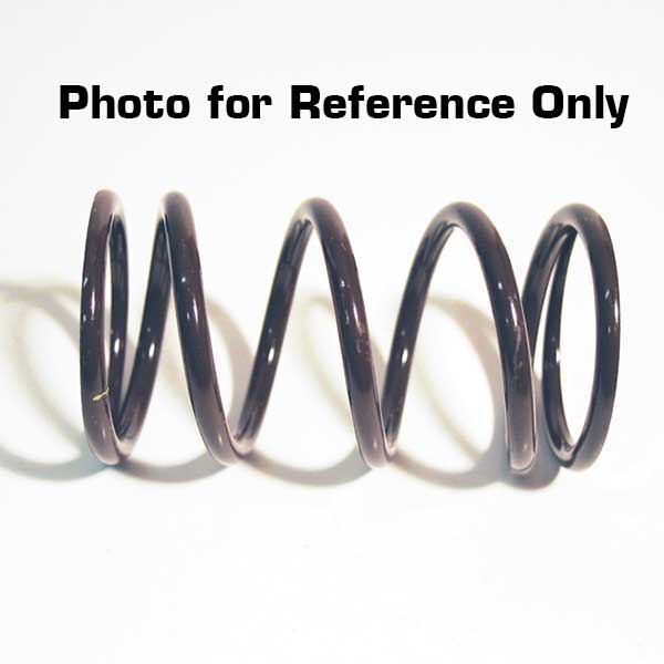 EPI Erlandson Performance Primary Drive Spring 250-1201 | MunroPowersports.com