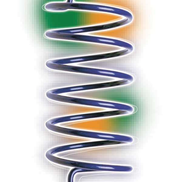 EPI Secondary Driven Spring 253-1103 | MunroPowersports.com