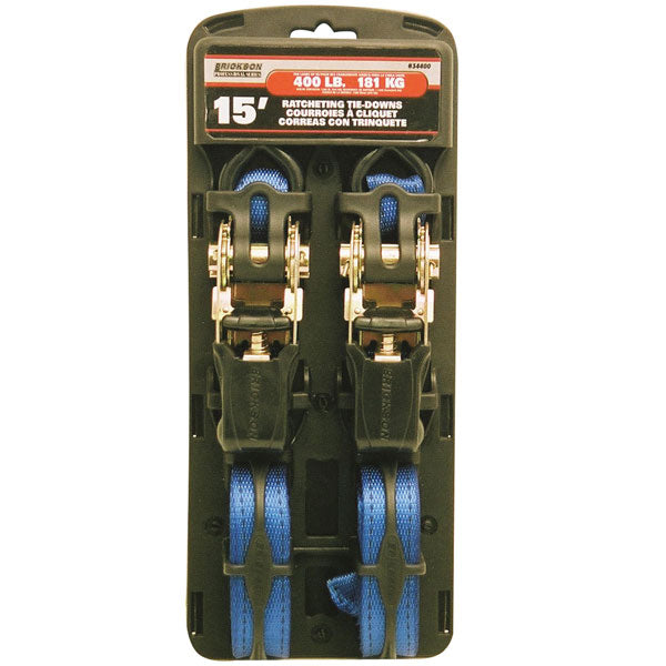 Erickson Professional Series Ratchet Tie Down 2Pk (34400) | MunroPowersports.com