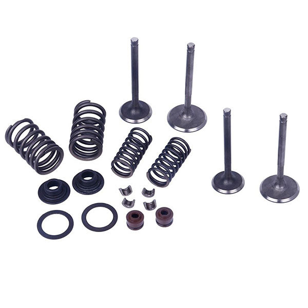 Mogo Parts Valve Kit (61-0212) | MunroPowersports.com