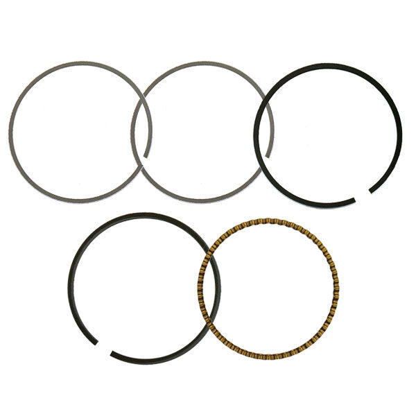 Namura Piston Ring (NA-40019-2R) | MunroPowersports.com