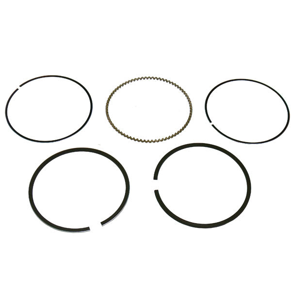 Namura Piston Ring (NA-20040-2R) | MunroPowersports.com