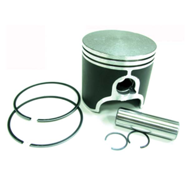 SPX Replacement Dual Piston Ring (SM-09145A) | MunroPowersports.com