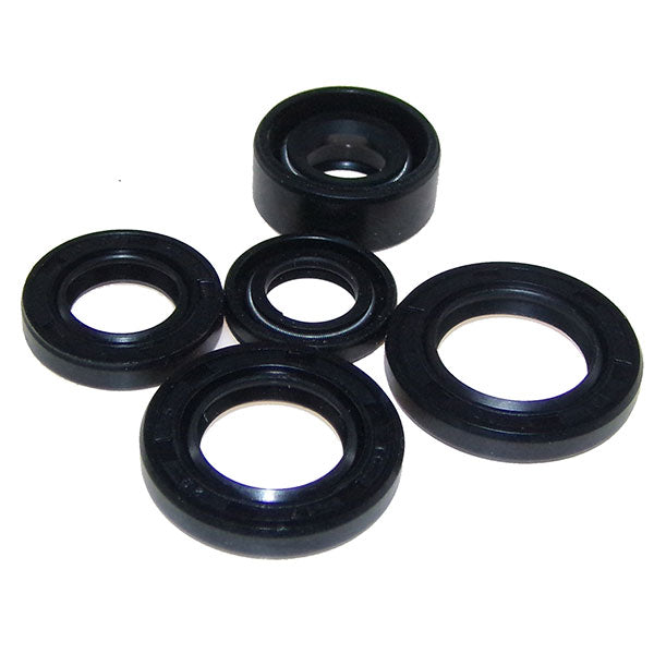 Mogo Parts Oil Seal Kit (02-1000) | MunroPowersports.com