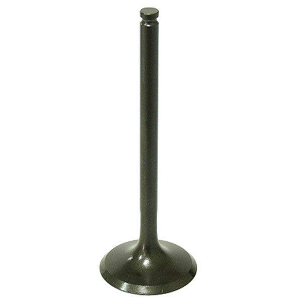 Psychic Exhaust Valve (Xu-09554E) | MunroPowersports.com