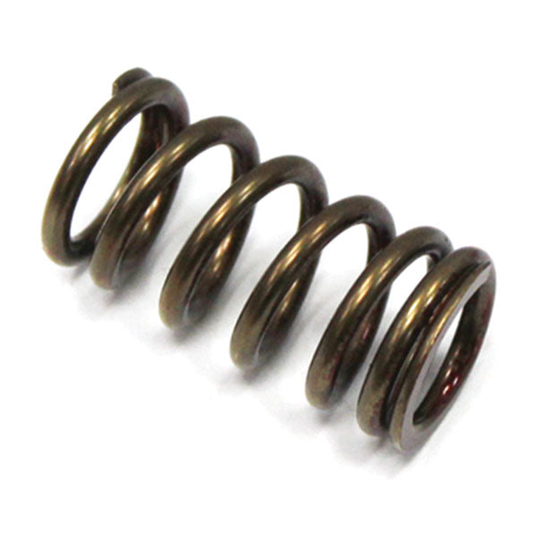 Psychic Exhaust Valve Spring (Xu-09519Es) | MunroPowersports.com