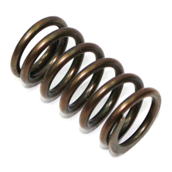 Psychic Intake/Exhaust Valve Spring (Xu-09521S) | MunroPowersports.com