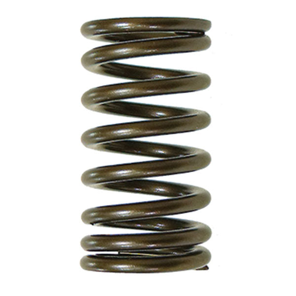 Psychic Exhaust Valve Spring (Xu-09541Es) | MunroPowersports.com