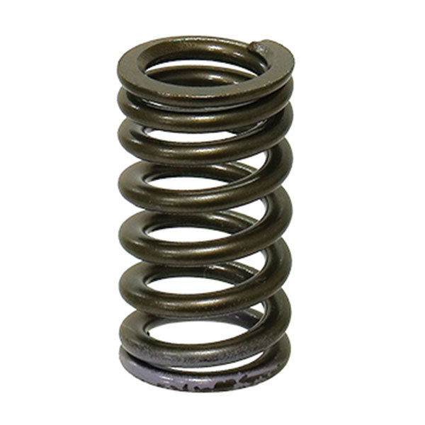 Psychic Exhaust Valve Spring (Xu-09553Es) | MunroPowersports.com