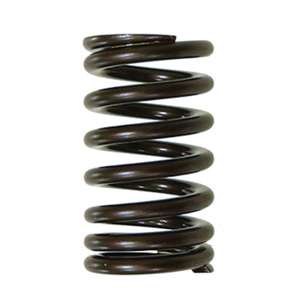 Psychic Intake Valve Spring (Xu-09541Is) | MunroPowersports.com