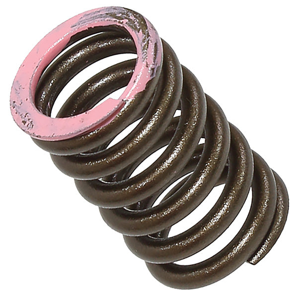Psychic Intake Valve Spring (Xu-09565Is) | MunroPowersports.com