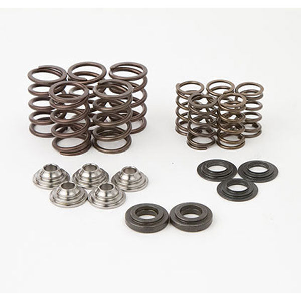 Hotcams Valve Spring Kit (SKYFM660S2) | MunroPowersports.com