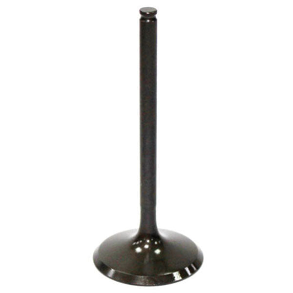 Psychic Intake Valve (Xu-09504I) | MunroPowersports.com