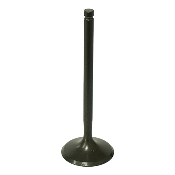 Psychic Intake Valve (Xu-09543I) | MunroPowersports.com