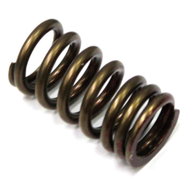 Psychic Exhaust Valve Spring (Xu-09502Es) | MunroPowersports.com