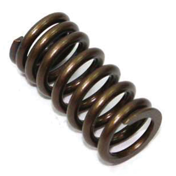 Psychic Exhaust Valve Spring (Xu-09503Es) | MunroPowersports.com