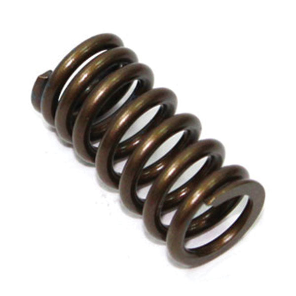 Psychic Exhaust Valve Spring (Xu-09526Es) | MunroPowersports.com