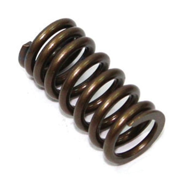 Psychic Exhaust Valve Spring (Xu-09532Es) | MunroPowersports.com