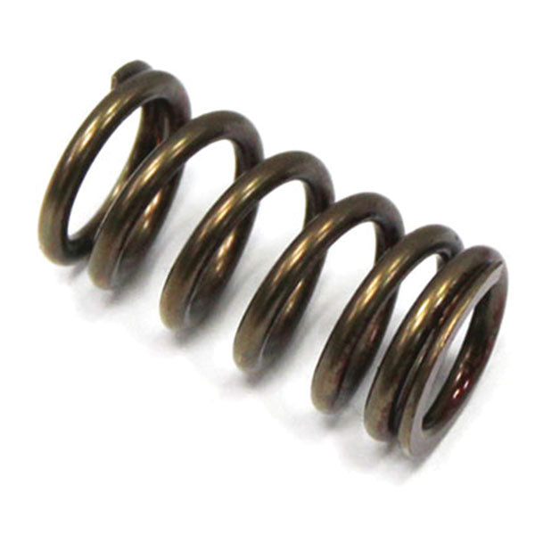Psychic Exhaust Valve Spring (Xu-09533Es) | MunroPowersports.com