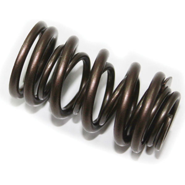 Psychic Exhaust Valve Spring (Xu-09537Es) | MunroPowersports.com