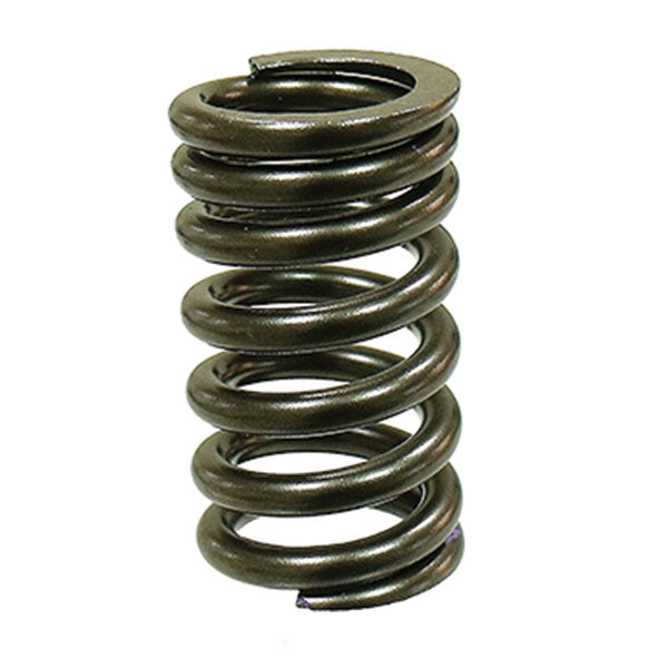 Psychic Intake/Exhaust Valve Spring (Xu-09544S) | MunroPowersports.com