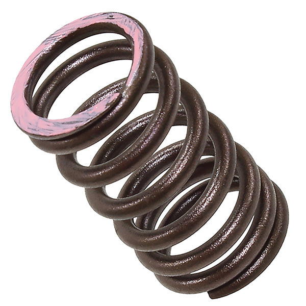 Psychic Exhaust Valve Spring (Xu-09564Es) | MunroPowersports.com