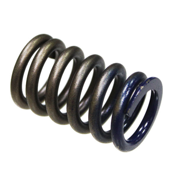 Psychic Intake Valve Spring (Xu-09502Is) | MunroPowersports.com