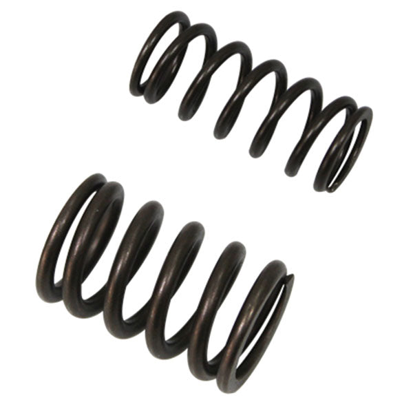Psychic Intake Valve Spring (Xu-09503Is) | MunroPowersports.com
