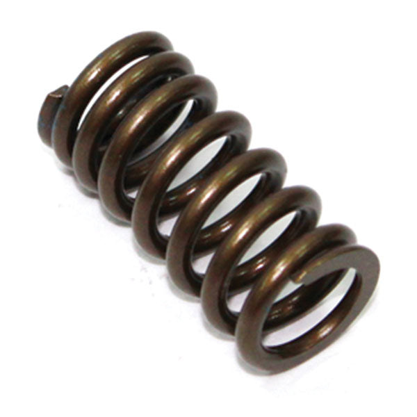 Psychic Intake Valve Spring (Xu-09526Is) | MunroPowersports.com