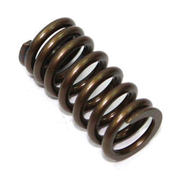 Psychic Intake Valve Spring (Xu-09532Is) | MunroPowersports.com