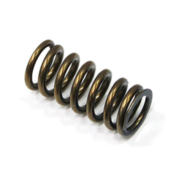 Psychic Intake Valve Spring (Xu-09533Is) | MunroPowersports.com