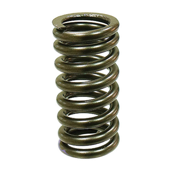 Psychic Intake Valve Spring (Xu-09545Is) | MunroPowersports.com
