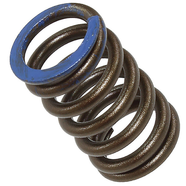 Psychic Intake Valve Spring (Xu-09564Is) | MunroPowersports.com