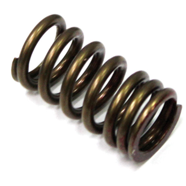 Psychic Exhaust Valve Spring (Xu-09509Es) | MunroPowersports.com