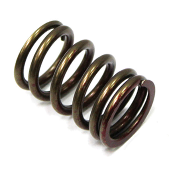 Psychic Exhaust Valve Spring (Xu-09527Es) | MunroPowersports.com
