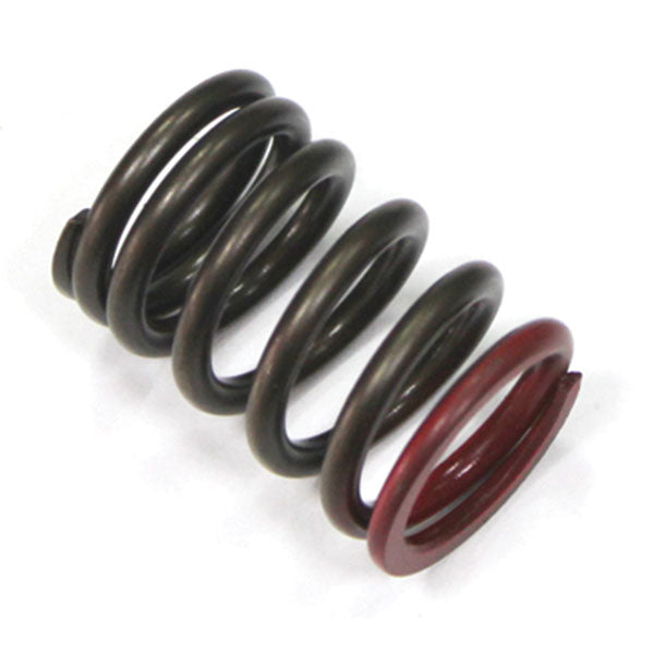 Psychic Exhaust Valve Spring (Xu-09536Es) | MunroPowersports.com