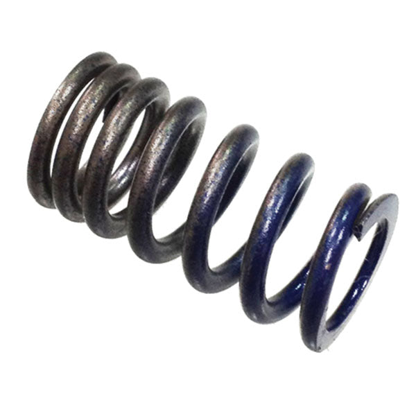 Psychic Intake Valve Spring (Xu-09509Is) | MunroPowersports.com