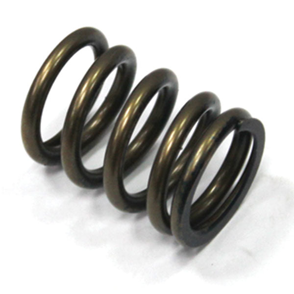 Psychic Intake Valve Spring (Xu-09527Is) | MunroPowersports.com