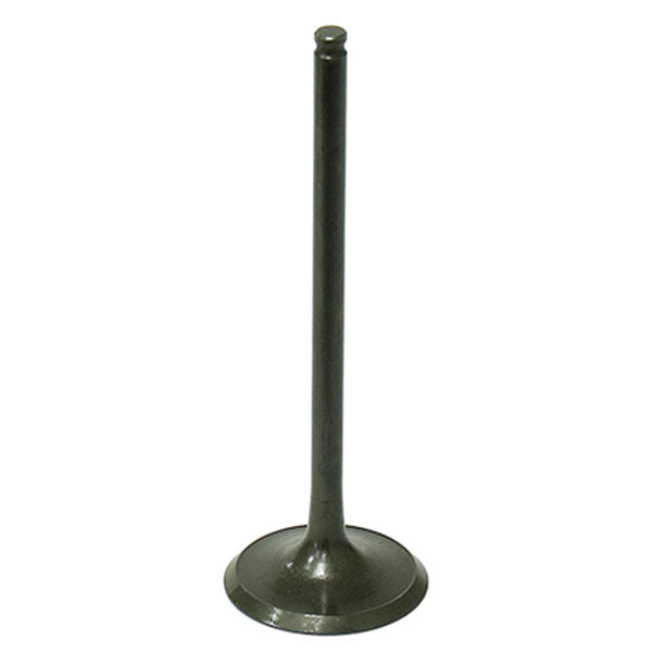 Psychic Intake Valve (Xu-09508I-1) | MunroPowersports.com