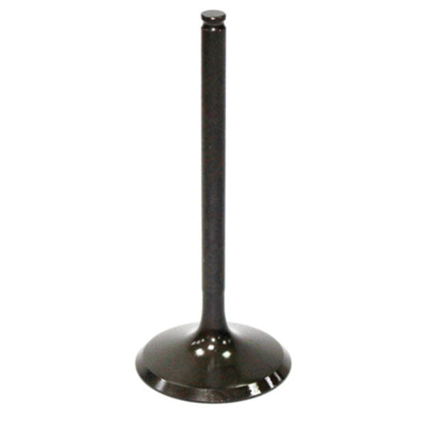 Psychic Intake Valve (Xu-09515I) | MunroPowersports.com